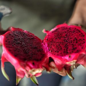 Fruit du dragon rouge